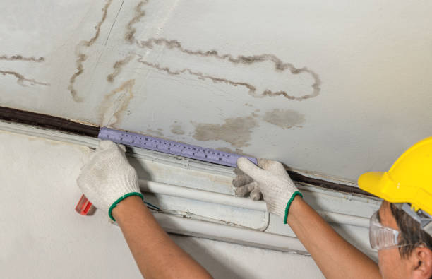 Reliable Water Damage contractor in Bradley, SC by Water Damage Irwin